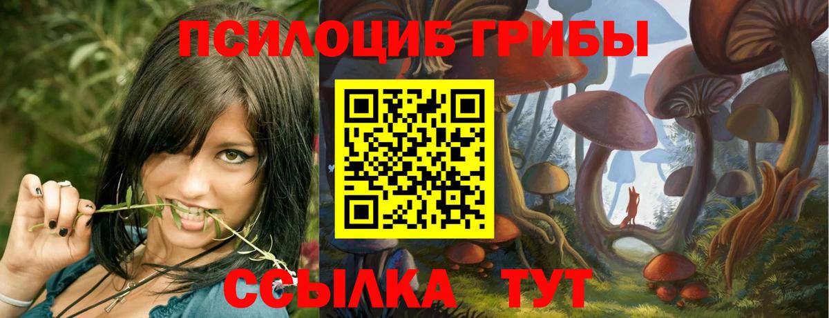 Каменск-Шахтинский  Псилоцибиновые грибы прущие грибы  Вход с VPN 