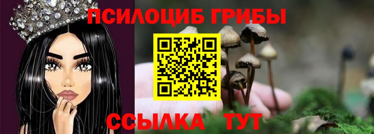 Псилоцибиновые грибы Psilocybine cubensis Каменск-Шахтинский